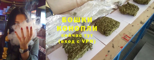 трава Санкт-Петербург